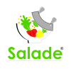 Home 27 Salade